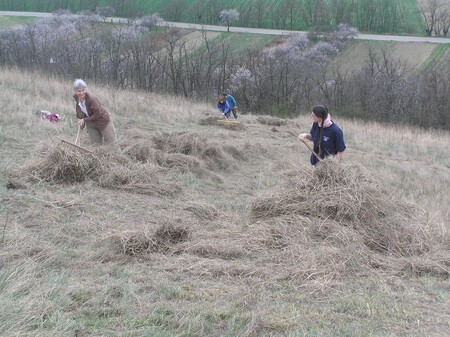 Loni poprvé po mnoha letech se podařilo ochráncům ve spolupráci s AOPK posekat necelé dvě třetiny stepi