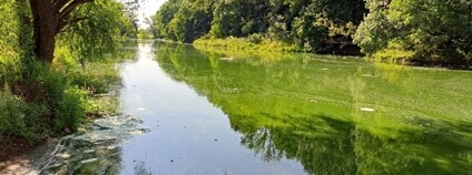 Foto: Povodí Moravy
