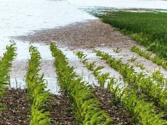Závadné látky jsou látky, které mohou ohrozit jakost povrchových nebo podzemních vod