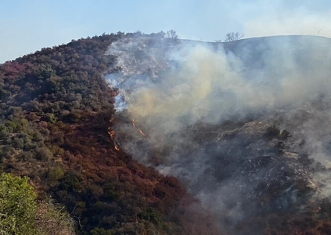 Snaha současně hasit i vypalovat vydává směrem k veřejnosti rozporuplný signál.