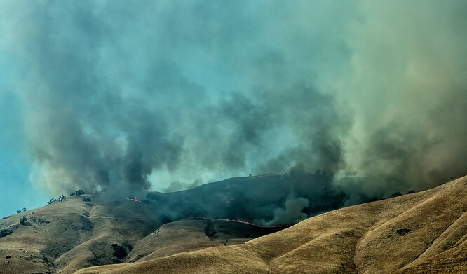 Na základě satelitních snímků a rozsáhlých průzkumů v terénu se prý dá vyčíst, na kterých lokalitách zhruba hořelo v minulosti.