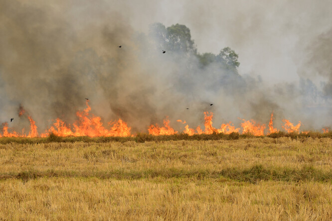 Na Vysočině hořelo v lesích i na polích. / Ilustrační foto