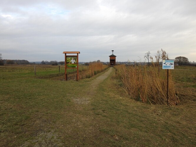 Na Kozmických ptačích loukách stojí od listopadu „Pozorovatelna Petra Čolase”, na počest letos zesnulého ředitele ostravské zoo.