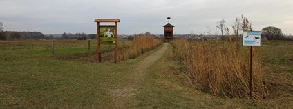 Na Kozmických ptačích loukách stojí od listopadu „Pozorovatelna Petra Čolase”, na počest letos zesnulého ředitele ostravské zoo.