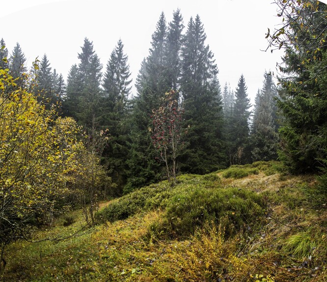 Pozůstatek ledovcové morény v daném místě.