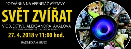 foto: Zoo Brno foto: Zoo Brno