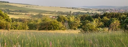 PR Drahy v CHKO Bílé Karpaty Foto: Jan Stefka Flickr