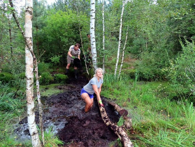 Pracovní a rašelinné lázně. Dobrovolníci pomáhají při revitalizaci Soumarského rašeliniště.