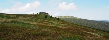 Praděd, Petrovy kameny Foto: Botanický ústav AV ČR