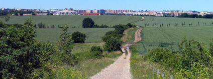 Pole u Dolních Počernic v Praze Foto: Packa Wikimedia Commons