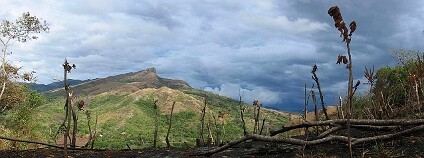 Foto:  Dirk van der Made / Wikimedia Commons