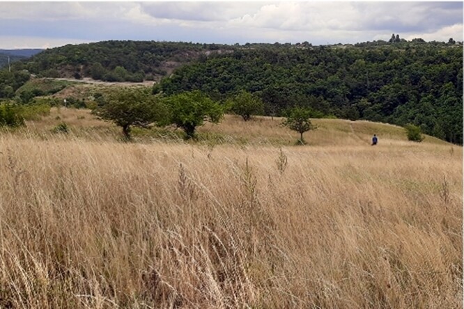 Letošní srovnávačka z našich nejstepovatějších stepí.