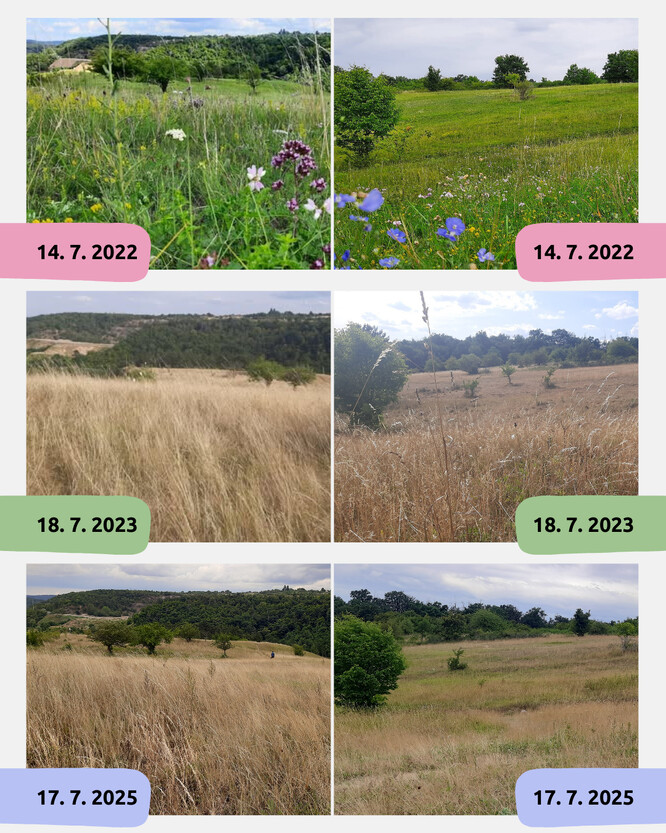 Na první pohled rozdíl mezi životem a prázdnotou. Ve skutečnosti ale obojí znamená step v jejím přirozeném rytmu.