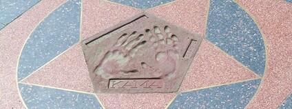 Chodník slávy v pražské zoo se stopu od orangutana Kama Foto: Matěj Baťha Wikimeda Commons