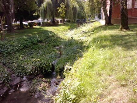 Koryto potoka v průběhu čištění.