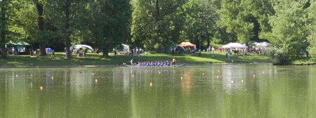 Laici nebudou posuzovat stromy, které je nutno pokácet třeba ze zdravotních, bezpečnostních či stavebních důvodů. Vyjádřit se ale mohou k dřevinám, které například stíní či překážejí.