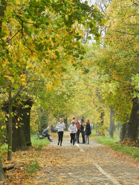 Při odborné péči může Rybářská alej přinášet užitek a radost nejen součastníkům, ale i příštím generacím, ptactvu a dalším živočišným druhům ještě další desítky roků