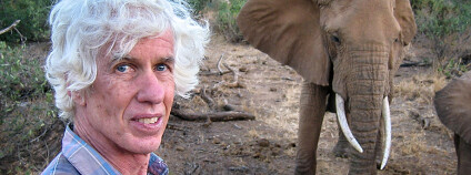 Foto: www.savetheelephants.org