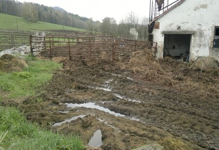 Z areálu kravína v Heřmanicích v Podještědí na Liberecku podle České inspekce životního prostředí (ČIŽP) opakovaně unikaly látky nebezpečné vodám, zejména výluhy hnoje. Výluhy podle zjištění inspekce pronikaly na obecní komunikaci i přilehlé soukromé pozemky a ohrožovaly pravostranný přítok Heřmanického potoka. / Na obrázku příjezdová cesta k výběhu nad kravínem