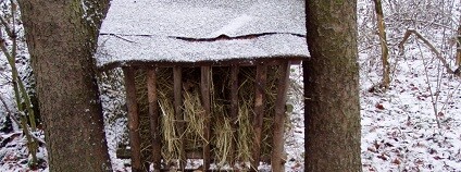 foto: Pavel Moulis / ČSOP Rokycany