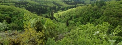 Foto: Miroslav Pecha