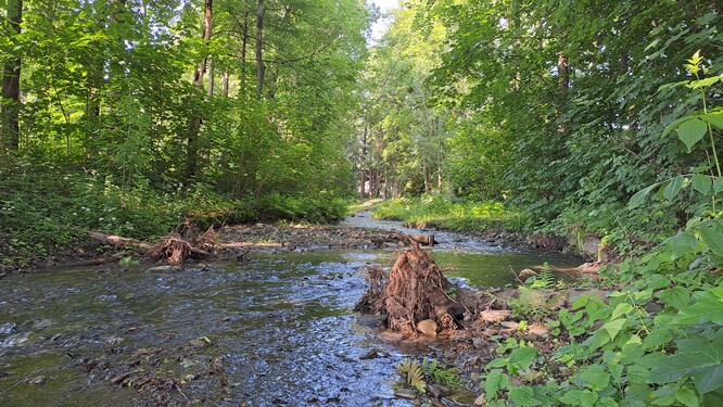Přírodní meandry Frýdlantské Ondřejnice