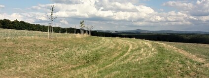 Foto: Tomáš Kvítek