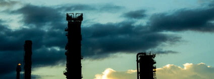 Foto: releon8211 Shutterstock