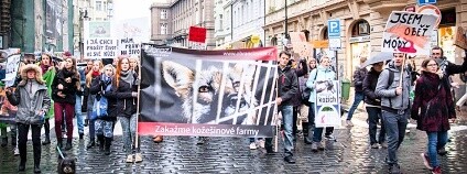 Foto: Andrea Podsedníková