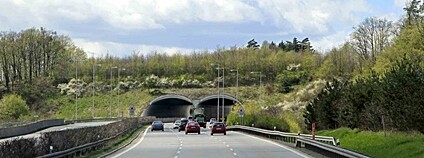 První ekodukt v ČR na D35 Foto: Ivo Dostál AOPK ČR a Centrum dopravního výzkumu