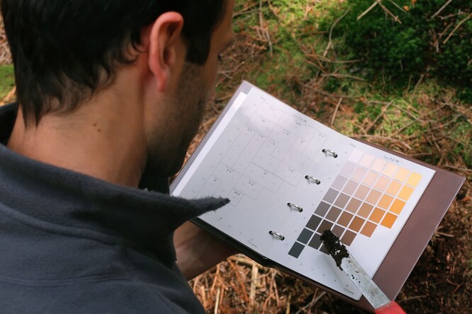 Prvotní analýza vzorků půdy.