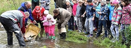 Foto: Třinecké železárny