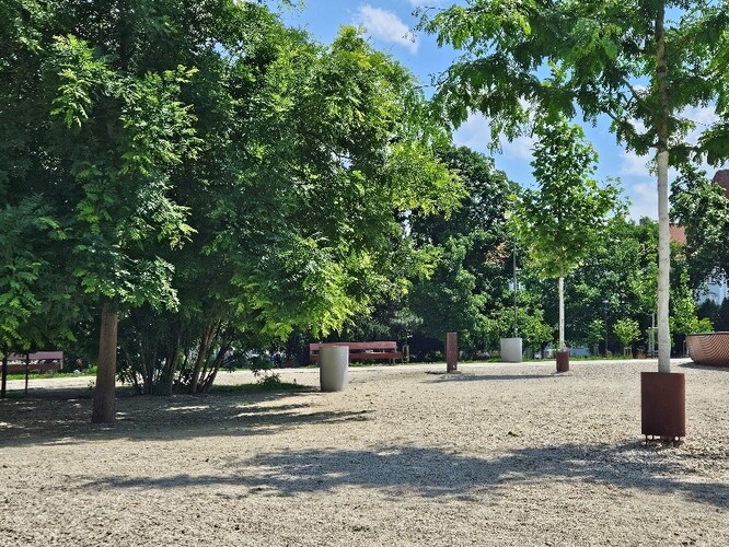 Obr. 3. Stromy v parku na Moravském náměstí v Brně.