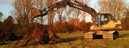Foto:  Břeněk Michálek / ČSO