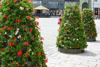Květinové pyramidy v Olomouci.