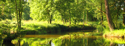 Foto:  Kletr / Shutterstock