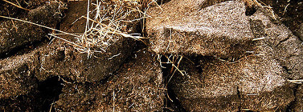 rašelina Foto: Peigi MacLean / Flickr