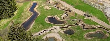 Mikulečský potok meandruje krajinou Foto: Lesy ČR