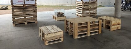 Kampaň Zachraňme dřevo Foto: RECYUPCY