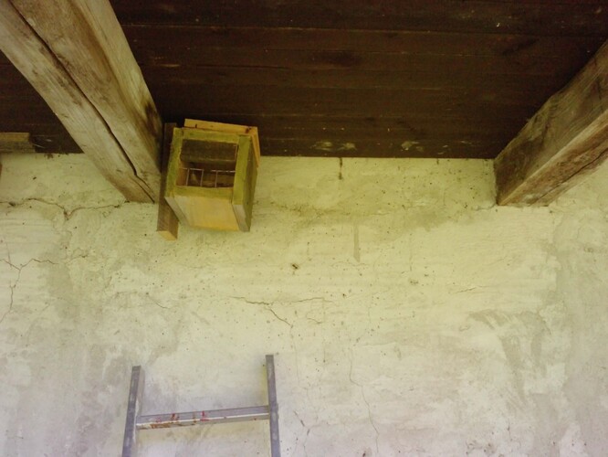 Ideální umístění polobudky určené pro rehka domácího i zahradního.