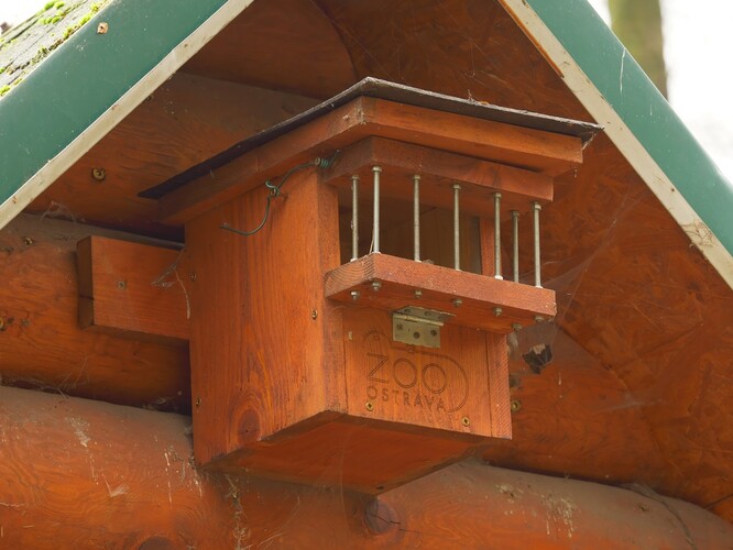 Zabezpečený rehkovník