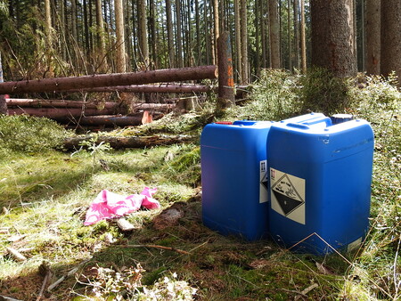 Správa Chráněné krajinné oblasti Jeseníky podle Hnutí Duha a ochránců přírody povolila v rozporu se zákonem kácení stromů napadených kůrovcem v jesenické rezervaci Rejvíz a při likvidaci lýkožrouta používání jedovatých pesticidů.