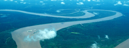 Foto: Mendelova univerzita v Brně