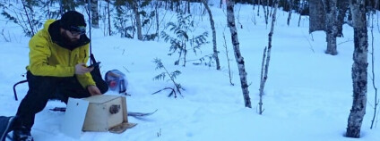 Foto: Jonathan Pauli / news.wisc.edu