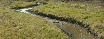 Fotografie revitalizovaných potoků Foto: Iva Bufková / Správa NP Šumava