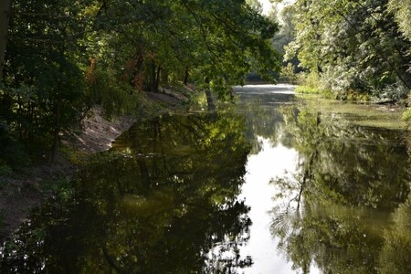 Studie zahrnuje území od sídliště Polabiny, konkrétně od mostu kapitána Bartoše po Kunětickou ulici. První etapou by měl být vznik relaxačního centra Lonkovka na ploše dvou hektarů.