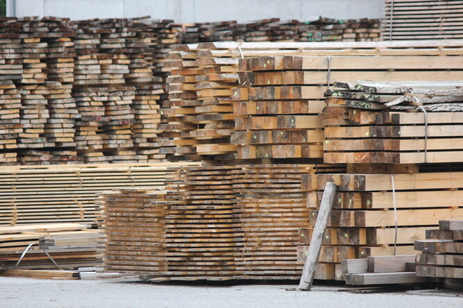 Nařežeme a dodáme trámy a střešní latě ze dřeva v našich univerzitních lesích, vzkazuje Mendelova univerzita.