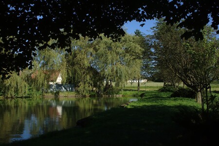 Přírodní památka Řísnice zabírá 4,2 hektaru. Předmětem ochrany budou hlavně rašeliniště, třasoviště a nevápnitá mechová slatiniště.