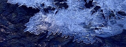 Foto: Natalia_Kollegova Pixabay