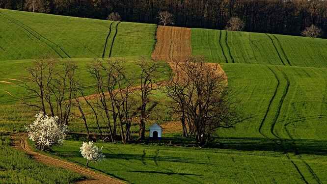 Starostka Šardic má osobně raději pojmenování Moravské Slovácko, vnímá však, že značka moravské Toskánsko obec zviditelňuje. "Zrovna minulý týden tu byli turisté od Liberce, seděli mezi vinohrady a říkali, že o naší krajině slyšeli.